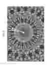 Fig. 07 - Graphics processing unit accelerated dynamic radial tessellation