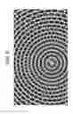 Fig. 09 - Graphics processing unit accelerated dynamic radial tessellation