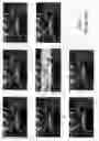 Fig. 02 - System and method for correcting artifacts in sequential imagers caused by transient light disturbances