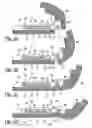 Fig. 02 - High-amplitude elastic hinge element for eyeglass frame