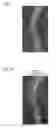Fig. 09 - Medical image processor and medical image processing method
