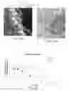 Fig. 03 - Nicotine immunonanotherapeutics