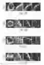 Fig. 09 - Nicotine immunonanotherapeutics