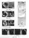 Fig. 13 - Nicotine immunonanotherapeutics