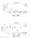 Fig. 22 - Nicotine immunonanotherapeutics