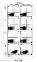 Fig. 29 - Nicotine immunonanotherapeutics