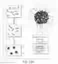 Fig. 43 - Nicotine immunonanotherapeutics