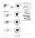 Fig. 44 - Nicotine immunonanotherapeutics