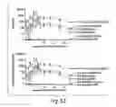 Fig. 45 - Nicotine immunonanotherapeutics