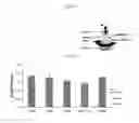Fig. 10 - Replenishment and enrichment of ocular surface lubrication