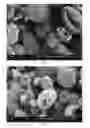 Fig. 03 - Method of producing porous microparticles