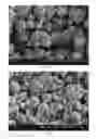 Fig. 08 - Method of producing porous microparticles