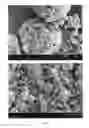 Fig. 09 - Method of producing porous microparticles