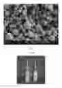 Fig. 10 - Method of producing porous microparticles