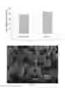 Fig. 16 - Method of producing porous microparticles