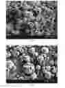 Fig. 19 - Method of producing porous microparticles
