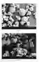 Fig. 20 - Method of producing porous microparticles