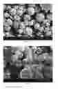 Fig. 21 - Method of producing porous microparticles