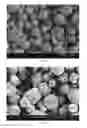 Fig. 24 - Method of producing porous microparticles