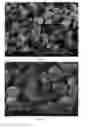 Fig. 26 - Method of producing porous microparticles