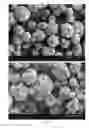 Fig. 28 - Method of producing porous microparticles