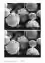 Fig. 29 - Method of producing porous microparticles