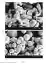 Fig. 31 - Method of producing porous microparticles