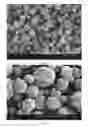 Fig. 33 - Method of producing porous microparticles