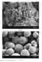 Fig. 35 - Method of producing porous microparticles