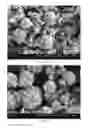 Fig. 38 - Method of producing porous microparticles