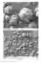 Fig. 46 - Method of producing porous microparticles