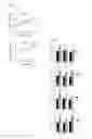 Fig. 03 - Prevention of tissue ischemia, related methods and compositions