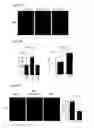 Fig. 24 - Prevention of tissue ischemia, related methods and compositions