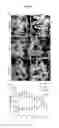 Fig. 41 - Prevention of tissue ischemia, related methods and compositions