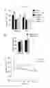 Fig. 42 - Prevention of tissue ischemia, related methods and compositions