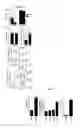 Fig. 48 - Prevention of tissue ischemia, related methods and compositions