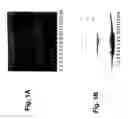 Fig. 02 - Molecular Antigen Arrays