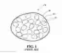Fig. 02 - MICROCAPSULES HAVING MULTIPLE SHELLS AND METHOD FOR THE PREPARATION THEREOF