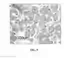 Fig. 09 - MICROCAPSULES HAVING MULTIPLE SHELLS AND METHOD FOR THE PREPARATION THEREOF