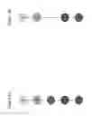 Fig. 07 - Genetic diagnosis using multiple sequence variant analysis