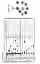 Fig. 43 - Genetic diagnosis using multiple sequence variant analysis