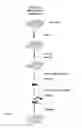 Fig. 02 - RAPID DETECTION PROCESSES AND RELATED COMPOSITIONS
