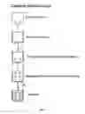 Fig. 06 - RAPID DETECTION PROCESSES AND RELATED COMPOSITIONS