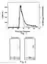 Fig. 02 - FLUORESCENT RUTHENIUM COMPOUNDS FOR DETECTING CALCIUM BINDING PROTEINS