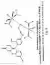 Fig. 05 - FLUORESCENT RUTHENIUM COMPOUNDS FOR DETECTING CALCIUM BINDING PROTEINS