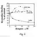 Fig. 08 - FLUORESCENT RUTHENIUM COMPOUNDS FOR DETECTING CALCIUM BINDING PROTEINS