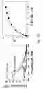 Fig. 09 - FLUORESCENT RUTHENIUM COMPOUNDS FOR DETECTING CALCIUM BINDING PROTEINS