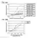 Fig. 33 - Method of enhancing of binding activity of antibody composition to Fcγ receptor IIIa