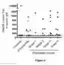 Fig. 07 - IDENTIFYING DUCT CANCERS