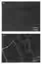 Fig. 01 - Hardening of ordered films of silica colloids